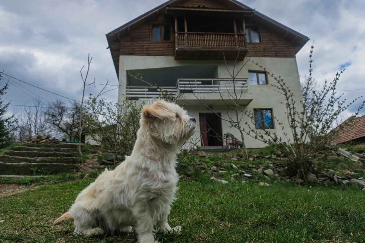 Apartamento Surasul Muntelui Dragoslavele Exterior foto