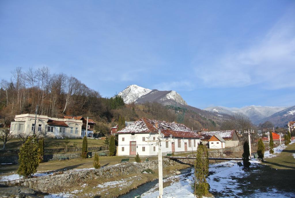 Apartamento Surasul Muntelui Dragoslavele Exterior foto