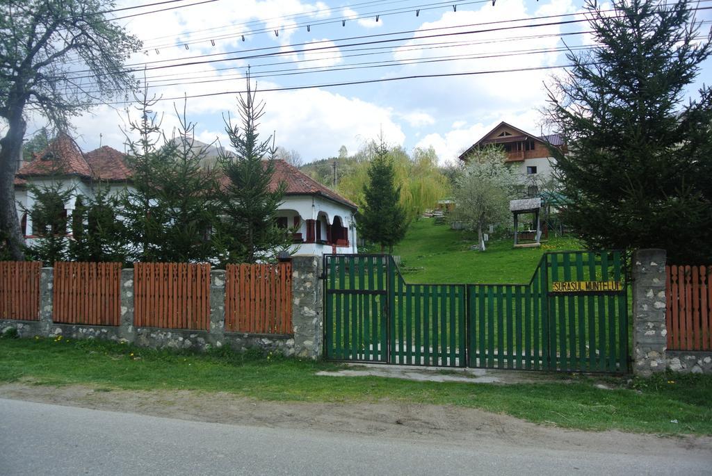 Apartamento Surasul Muntelui Dragoslavele Exterior foto