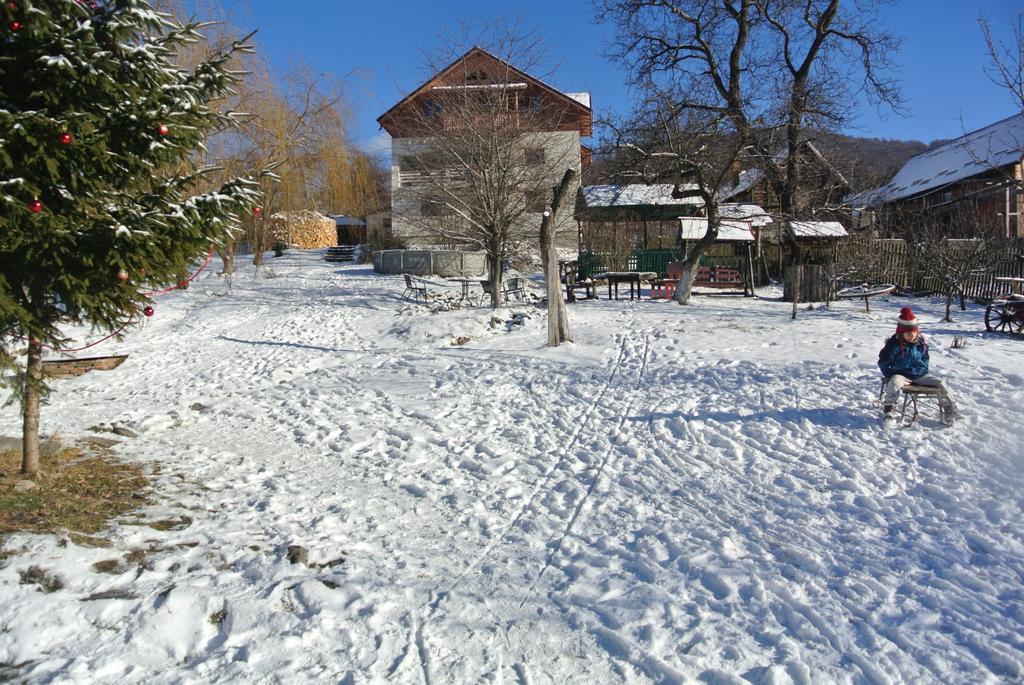 Apartamento Surasul Muntelui Dragoslavele Exterior foto